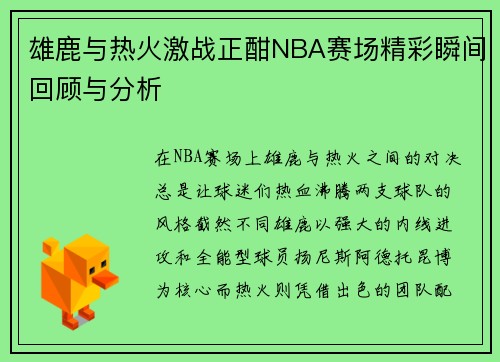 雄鹿与热火激战正酣NBA赛场精彩瞬间回顾与分析